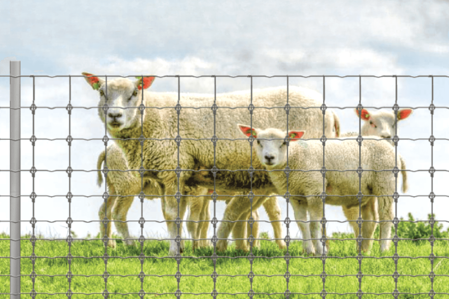 Verdrillter Draht ohne Schweißstellen